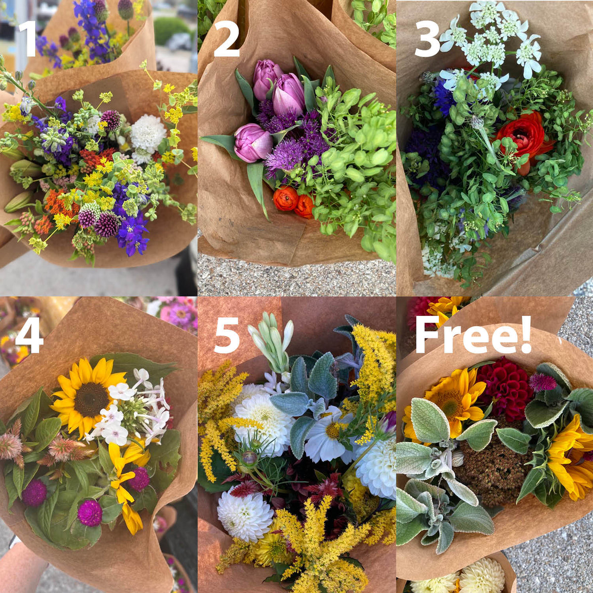 Collections – Woolly Bee Farm