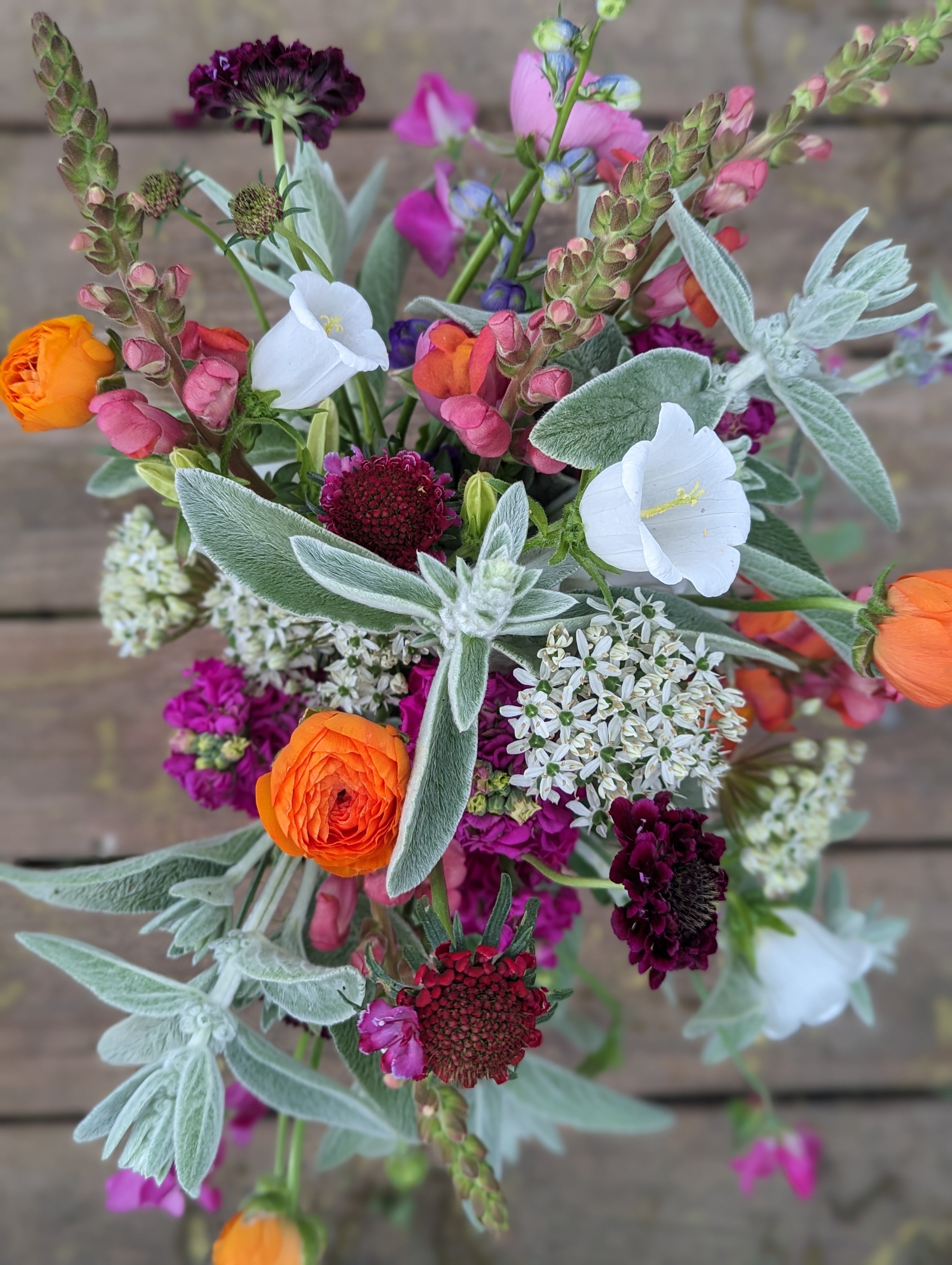 Designer's Choice Arrangement – Woolly Bee Farm