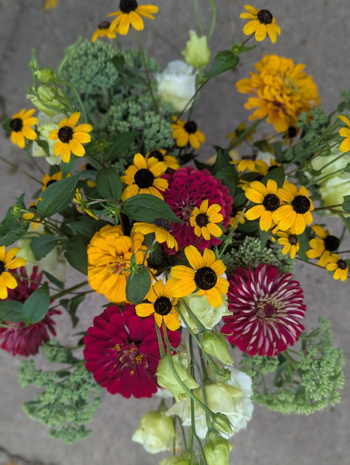 Fall Subscription (8 weeks)